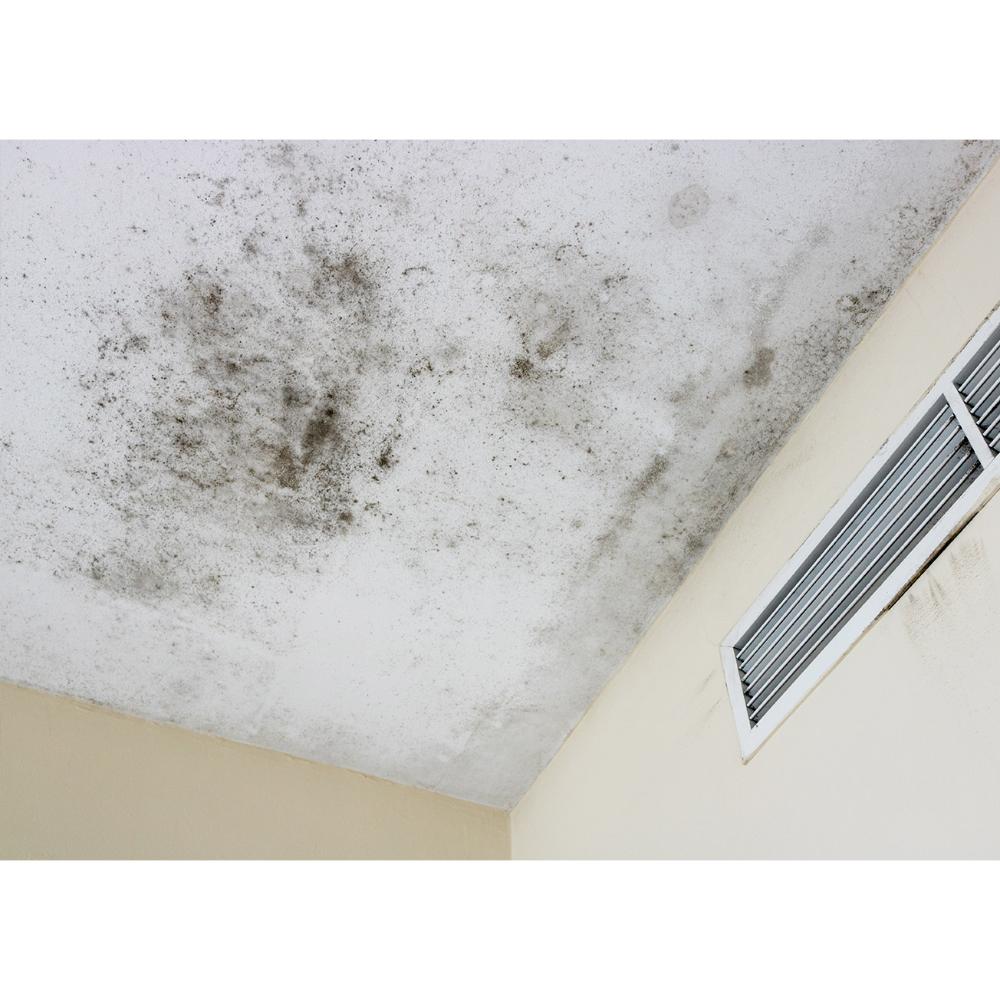 Mould on a roof | Featured Image for the Commercial Pressure Cleaning Page of QCS Cleaning